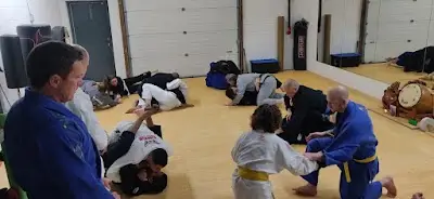 BearDog Jiujitsu BJJ Academy - photo 1