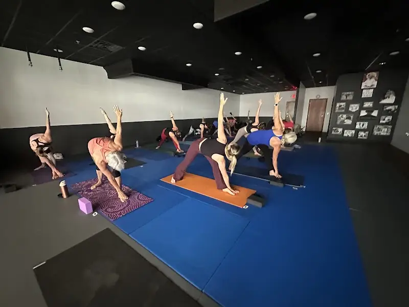 Bearfoot Studios BJJ Academy - photo 2