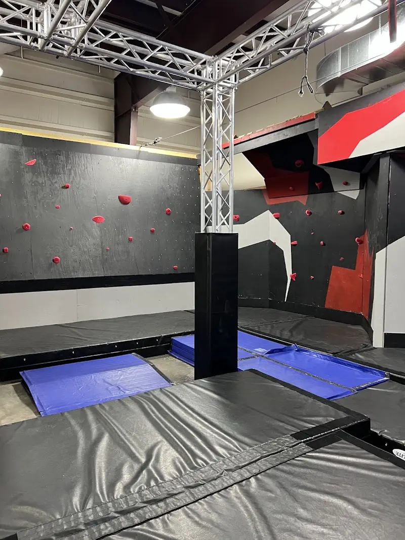 Beast Ninja Obstacle Course BJJ Academy - photo 2
