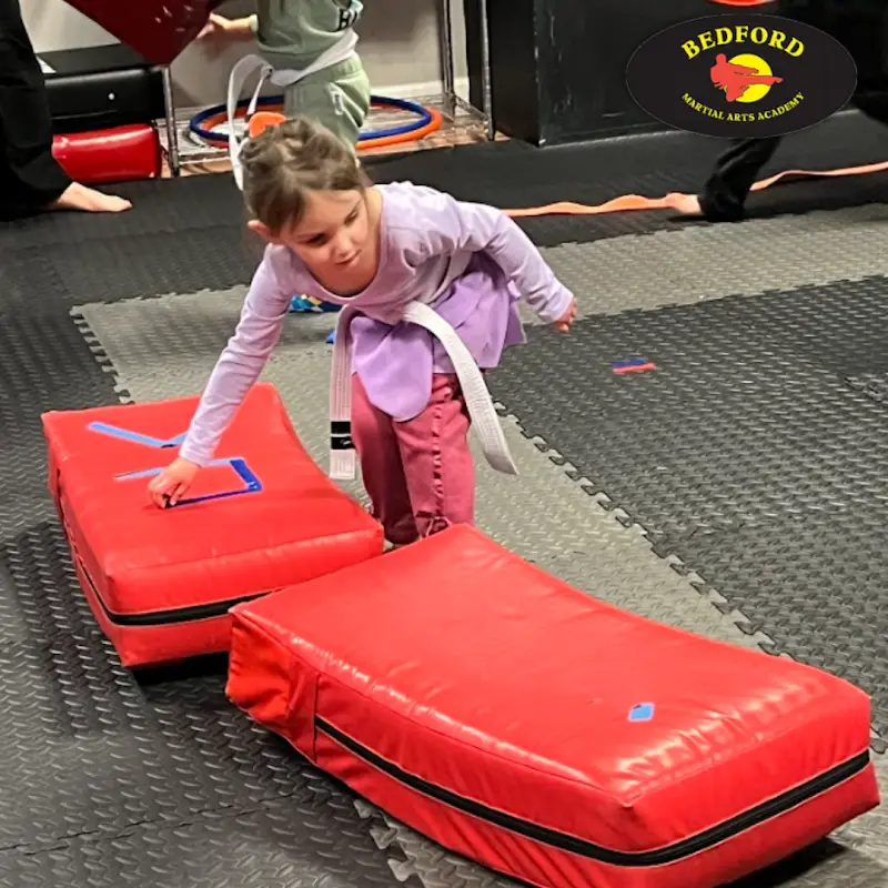 Bedford Martial Arts Academy - East BJJ Academy - photo 1