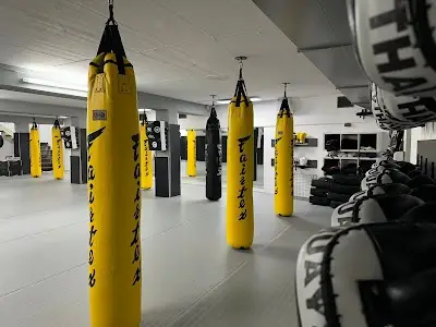 Beez Neez - Cross Combat Gym and self-defense BJJ Academy - photo 1