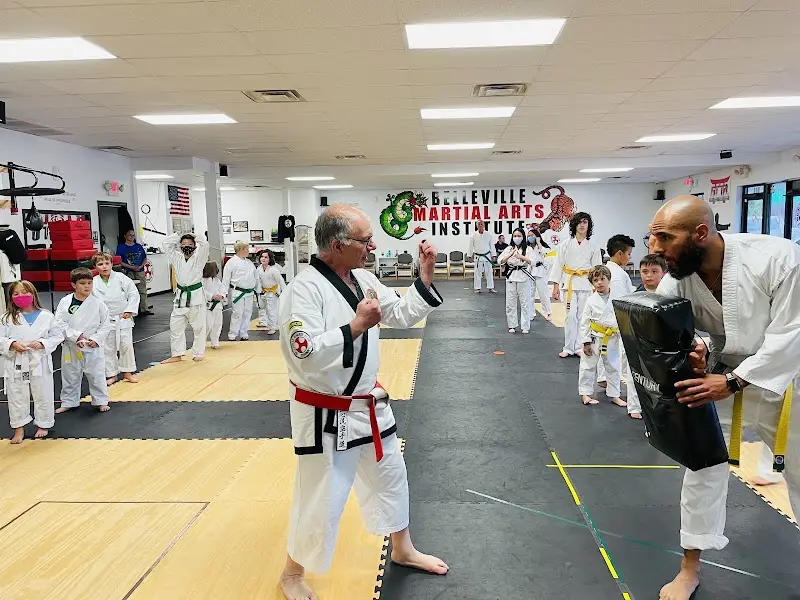 Belleville Martial Arts Institute