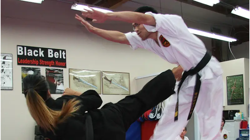 Bellevue Martial Arts Academy LLC