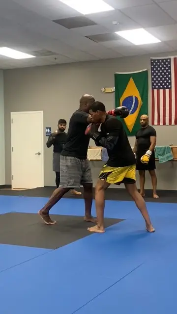 Bellicose Martial Arts BJJ Academy - photo 1