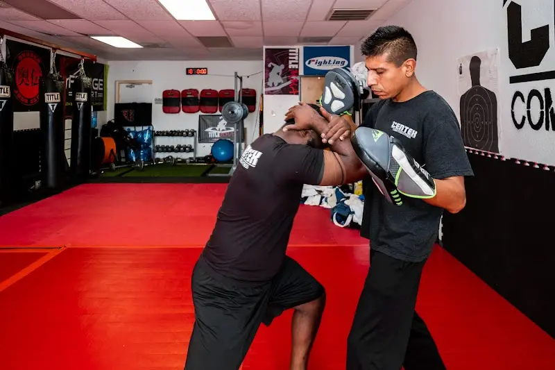 Benchmark Self Defense Systems