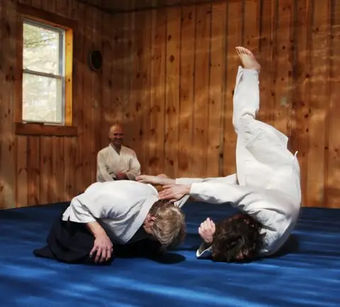 Berkshire Hills Aikido