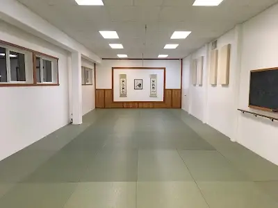 Best Martial Arts Institute BJJ Academy - photo 1