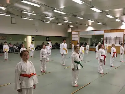 Best Martial Arts Institute BJJ Academy - photo 4