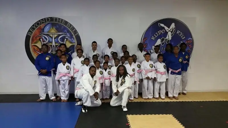 Beyond the Belt Martial Arts Academy BJJ Academy - photo 1