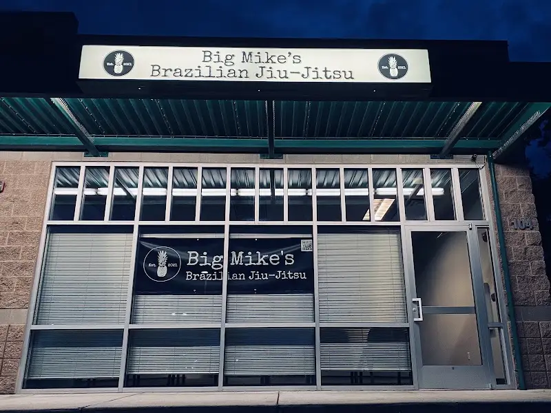 Big Mike's Brazilian Jiu-Jitsu BJJ Academy - photo 2