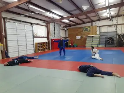 Big Z BJJ BJJ Academy - photo 1