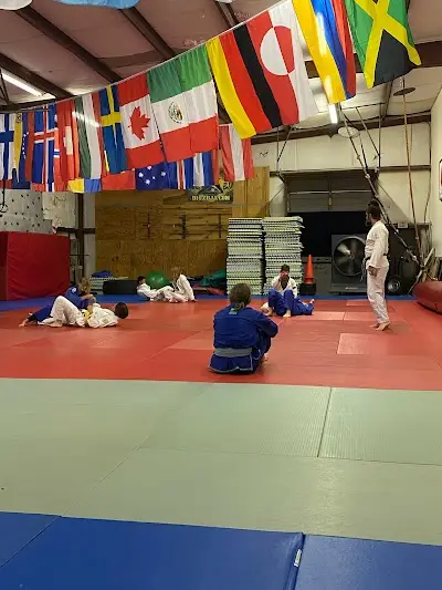 Big Z BJJ BJJ Academy - photo 3