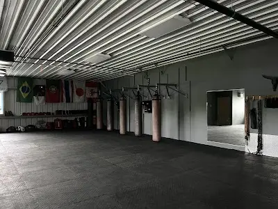 Bigode Martial Arts & Fitness