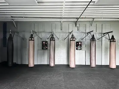 Bigode Martial Arts & Fitness BJJ Academy - photo 2