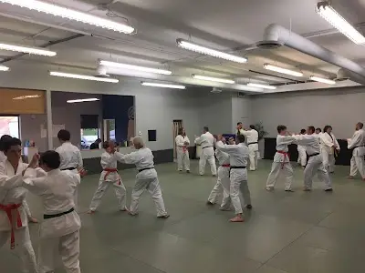 Bindner Academy BJJ Academy - photo 1