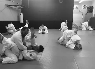 Bindner Academy BJJ Academy - photo 2