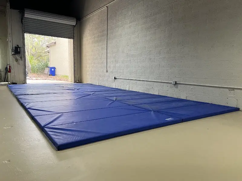 Birdman’s Wash n’ Fold Brazilian Jiu Jitsu BJJ Academy - photo 1