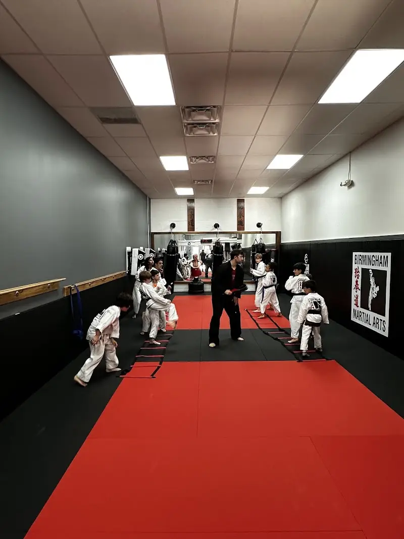 Birmingham Martial Arts BJJ Academy - photo 2