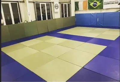 BJJ Carrigaline