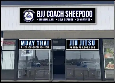 BJJ Coach Sheepdog BJJ Academy - photo 4