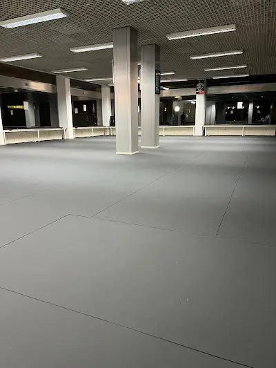 BJJ Europe & UFU BJJ Academy - photo 1