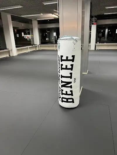 BJJ Europe & UFU BJJ Academy - photo 4