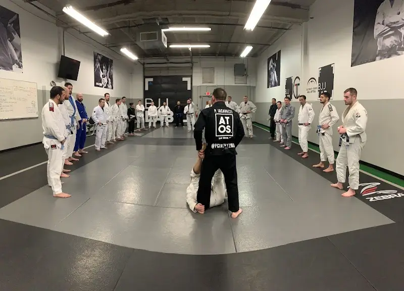 BJJ Lab Brazilian Jiu-Jitsu & Self Defense BJJ Academy - photo 1