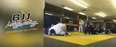 BJJ Lifestyle Academy