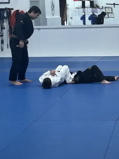 BJJ Revolution Team