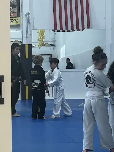 BJJ Revolution Team BJJ Academy - photo 1