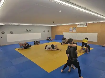 BJJ Team St. Gallen HQ BJJ Academy - photo 1