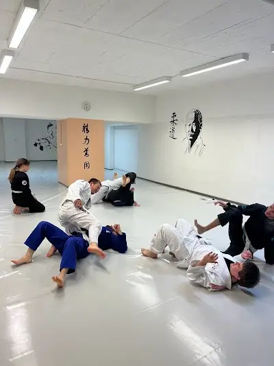 BJJ Wädenswil BJJ Academy - photo 1