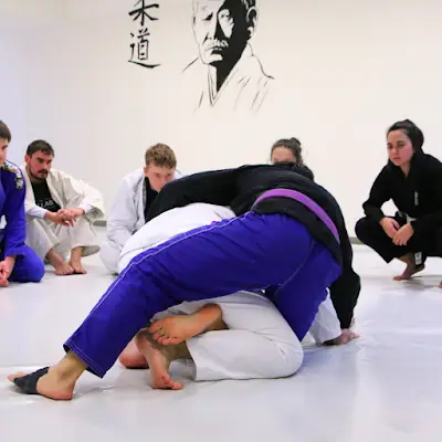 BJJ Wädenswil BJJ Academy - photo 3