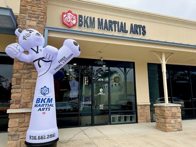 BKM Martial Arts the Woodlands BJJ Academy - photo 2