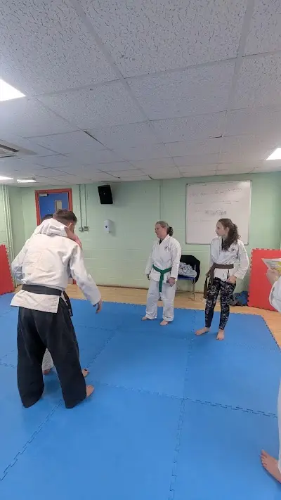 BKR Jujitsu BJJ Academy - photo 2