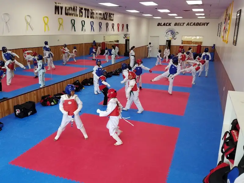 Black Belt Academy BJJ Academy - photo 1
