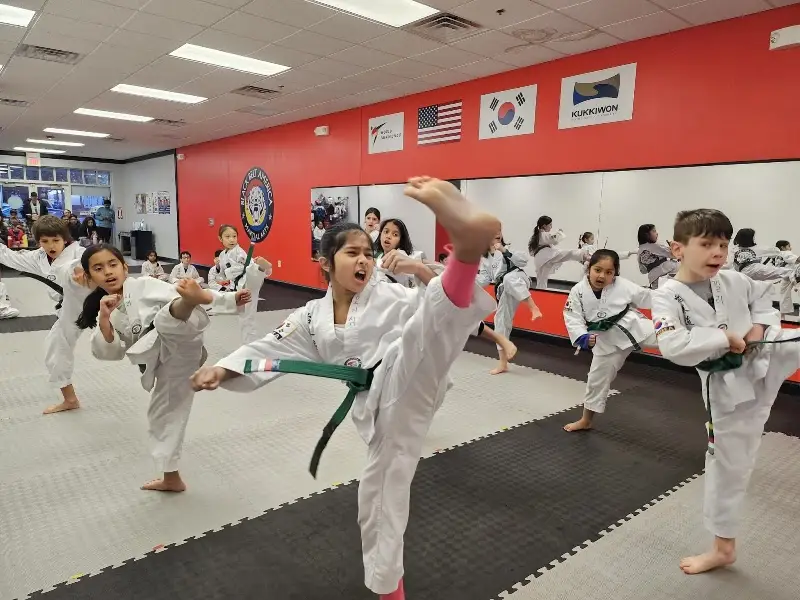 Black Belt America of Princeton Junction