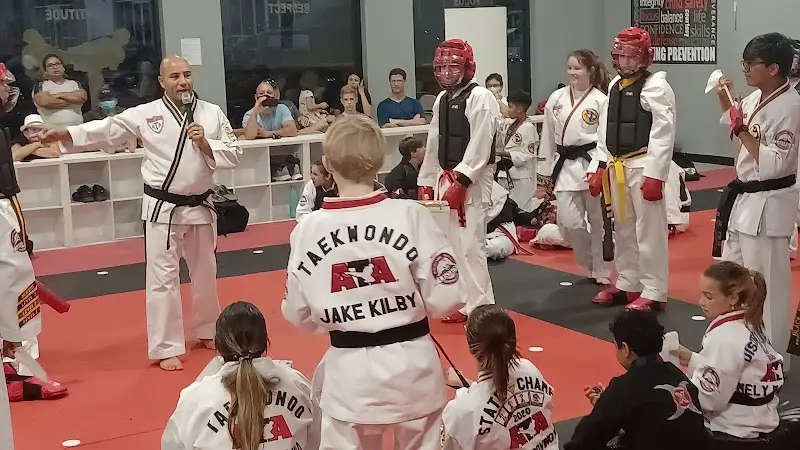 Black Belt Attitude School (Fairview) BJJ Academy - photo 2
