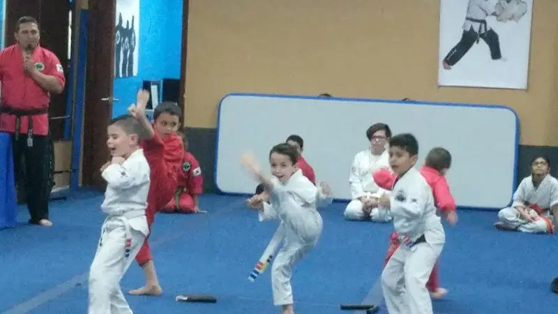 Black Belt For Life Studios BJJ Academy - photo 2