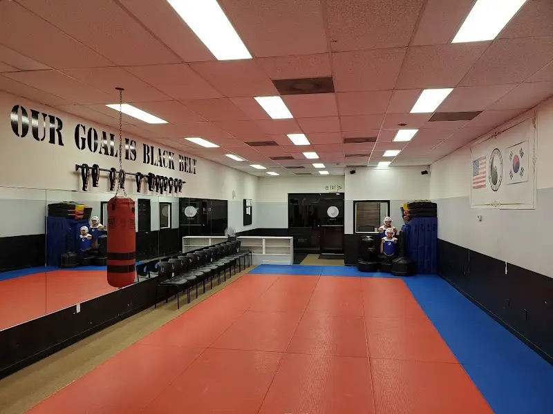 Black Belt Institute