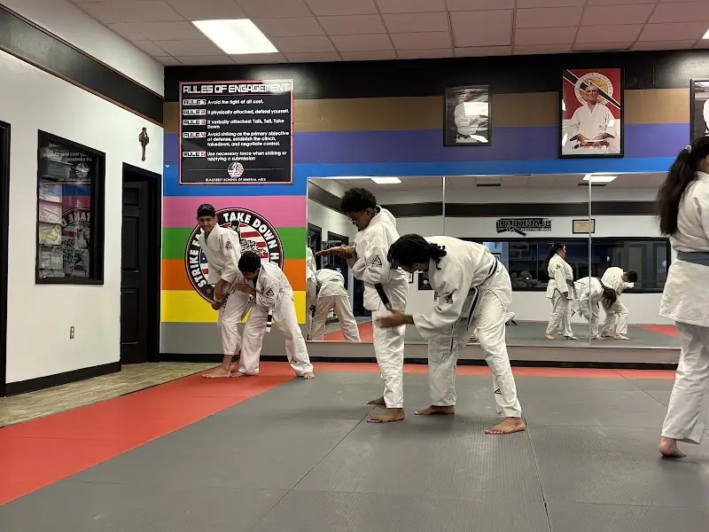Black Belt Martial Arts Center BJJ Academy - photo 1