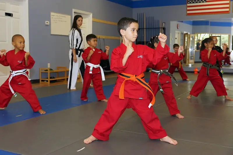 Black Belt Martial Arts Center BJJ Academy - photo 2