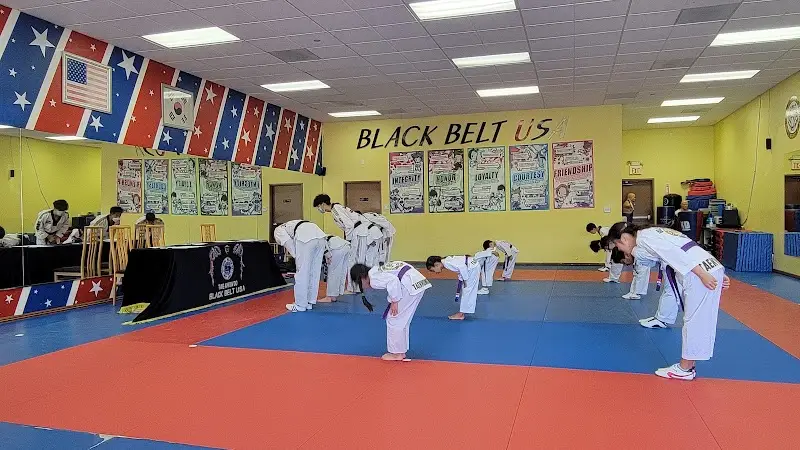 Black Belt USA