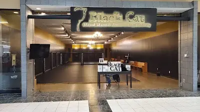 Black Cat Mixed Martial Arts and Self Defense