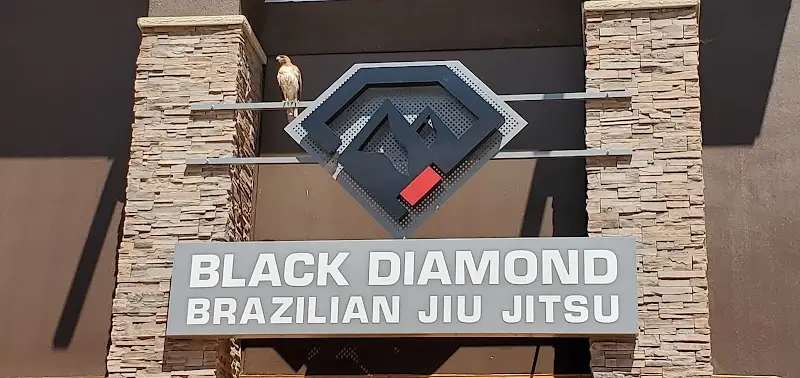 Black Diamond Brazilian Jiu-Jitsu BJJ Academy - photo 1