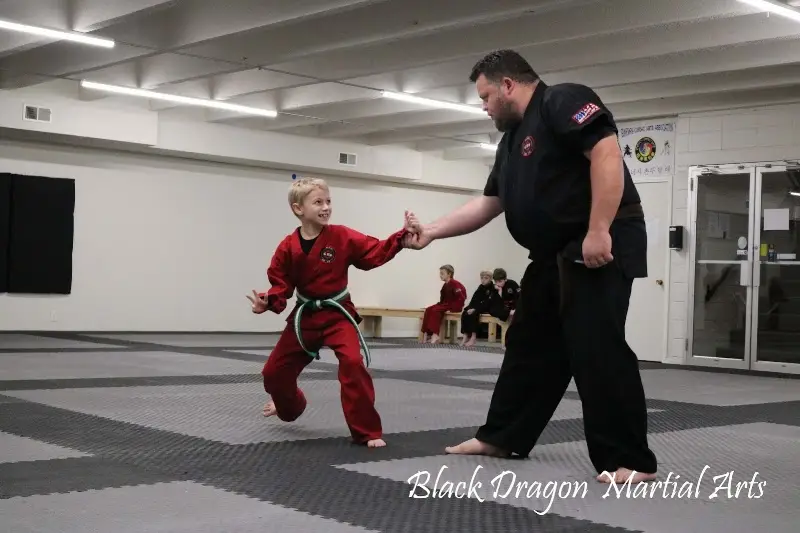 Black Dragon Martial Arts BJJ Academy - photo 1