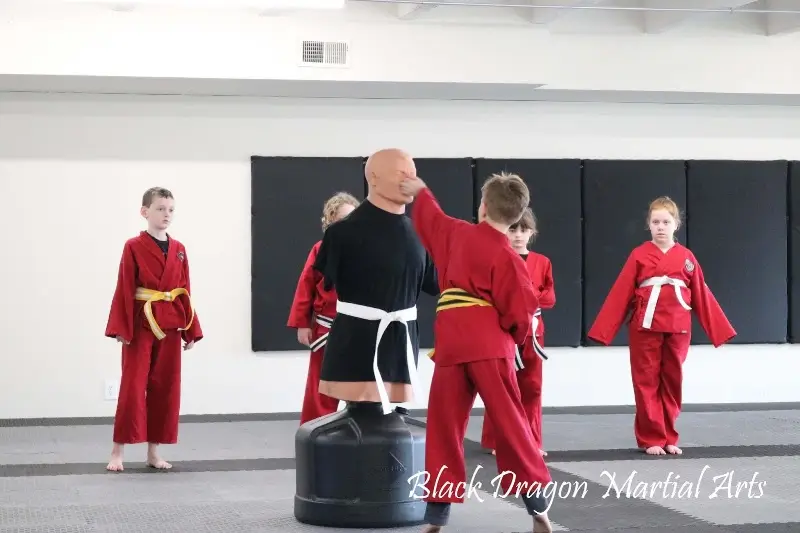 Black Dragon Martial Arts BJJ Academy - photo 2