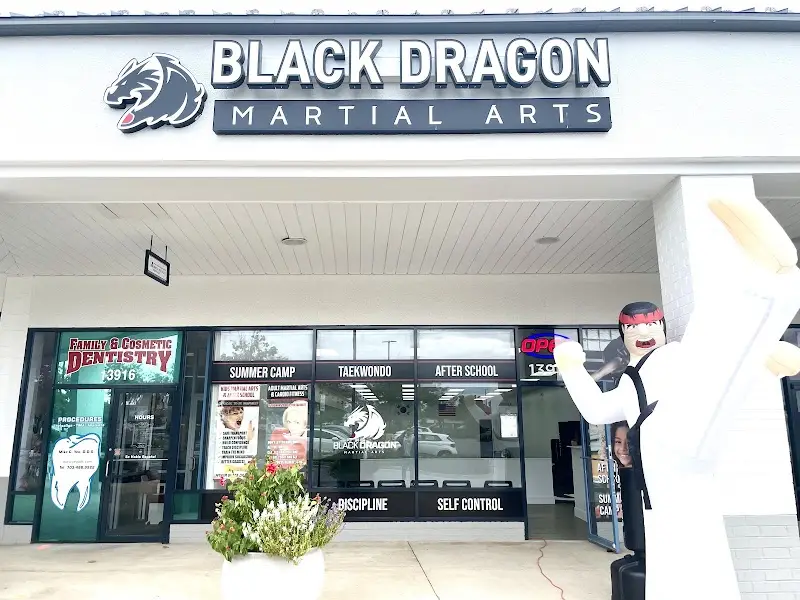 Black Dragon Martial Arts - Summer Camp / After School Program