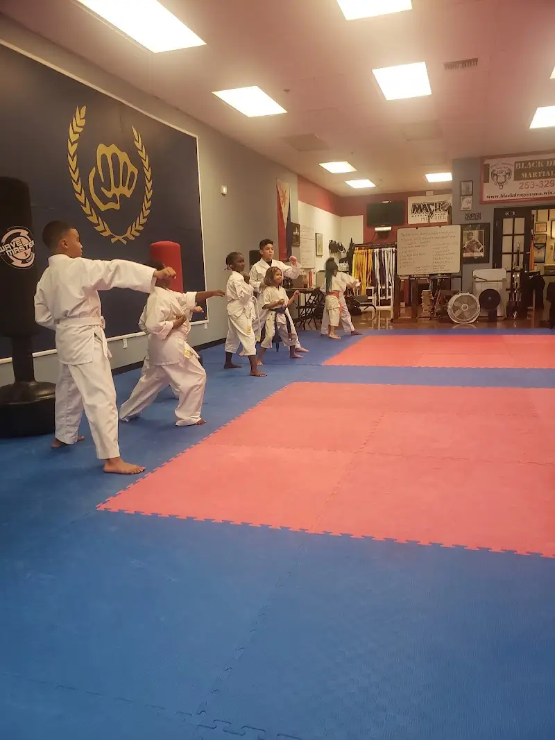 Black Dragons Federation BJJ Academy - photo 1