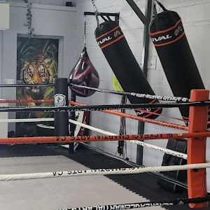 Inside Black Eagle Martial Arts and Sports Performance Center academy